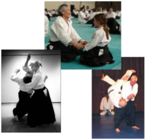 La naturaleza del Aikido lo hace adecuado para todo el mundo
