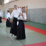 Curso Nacional de Aikido en Alicante, Tomás Sánchez y Roberto Sánchez, noviembre 2015 (Roberto y Juan Miguel)