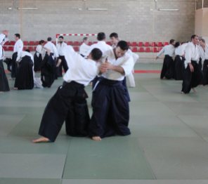 Curso Nacional de Aikido en Alicante, Tomás Sánchez y Roberto Sánchez, noviembre 2015 (Roberto)