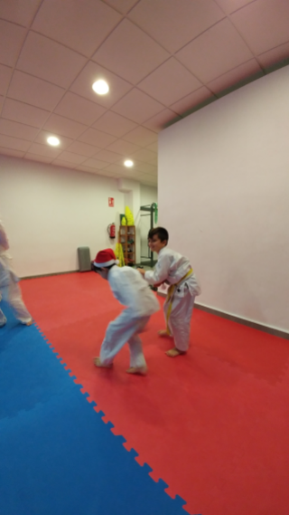 aikido-kids-infantil-y-juvenil-entrenamiento-navideno-2016-defensa-personal-aikido-aikikai-san-vicente-del-raspeig-al_24